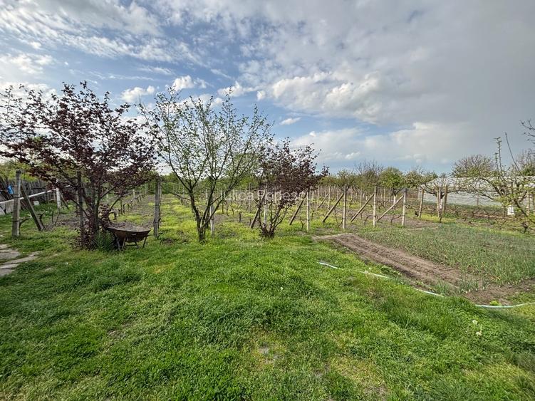 Casa și teren de vânzare Rogova - 5