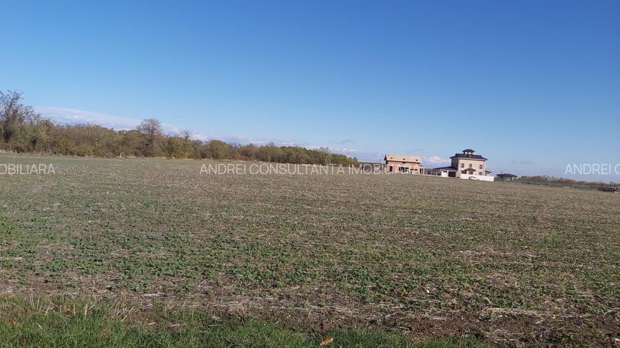 Vanzare 2000 mp, sau 3000 mp sau 5000 mp teren in Gradistea cu acces dinspre A3 - 8