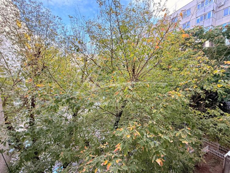 Rahova, Dumbrava Noua, mobilat complet, mutare imediata - 16