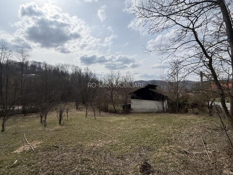 Teren intravilan la asfalt 2100 mp deschidere 21 mp la asfalt! - 3