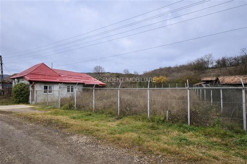 Film&3D!Proprietate cu potential:casa, atelier,domeniu de 2.700 mp: Sanmarghita, - 8