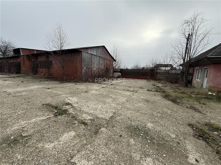 Hale industriale de inchiriat cu platforma betonata de 10.424mp - Șerbanest - 2