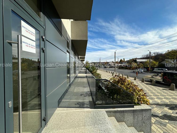 Spatiu 420mp, bd. Poitiers - 19