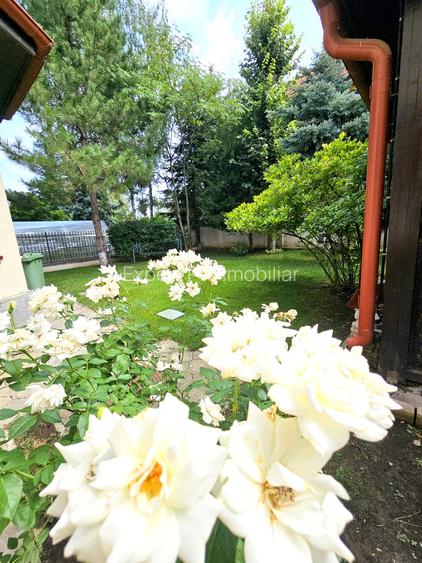 Baneasa vav Liceul Francez 6cam+4bai+garaj Curte 563mp Constr 2003 Merita Vazuta - 19