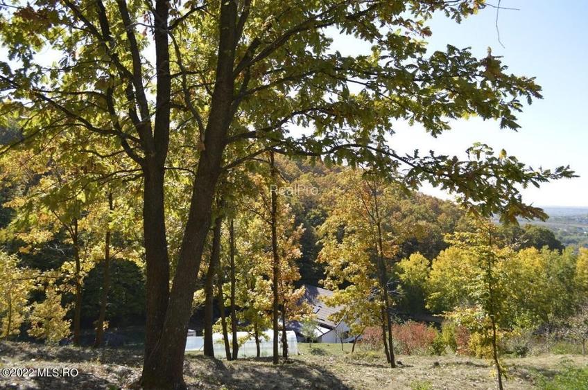 Topoloveni - Conacul Ion Mihalache, Domeniu pe 5 Hectare! - 57