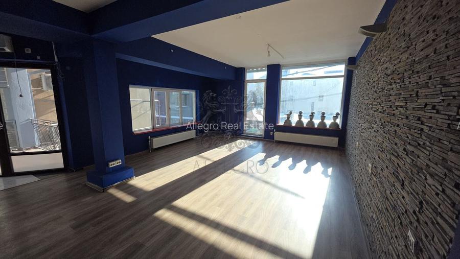 Vila Individuala | Putul Lui Zamfir - Dorobanti | 2002 | 238 mp utili - 6