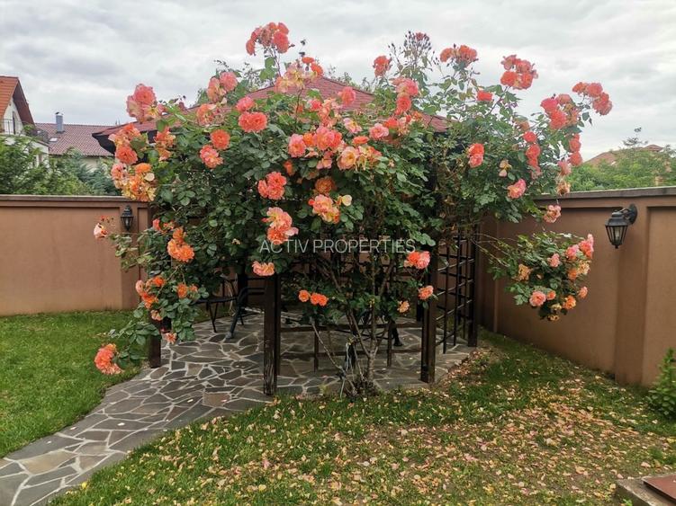 Vila Jolie Ville,D+P+1+M,7 camere,4 bai,foisor,piscina,2 parcari curte, mob,util - 2