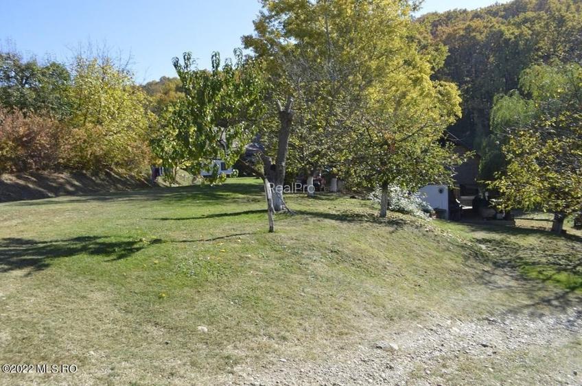 Topoloveni - Conacul Ion Mihalache, Domeniu pe 5 Hectare! - 47