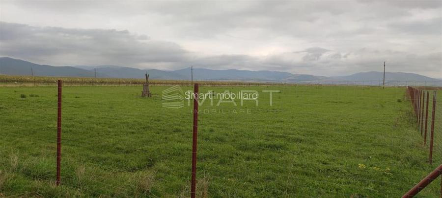 Teren  intravilan cu PUZ 30.000 mp Prejmer - 2