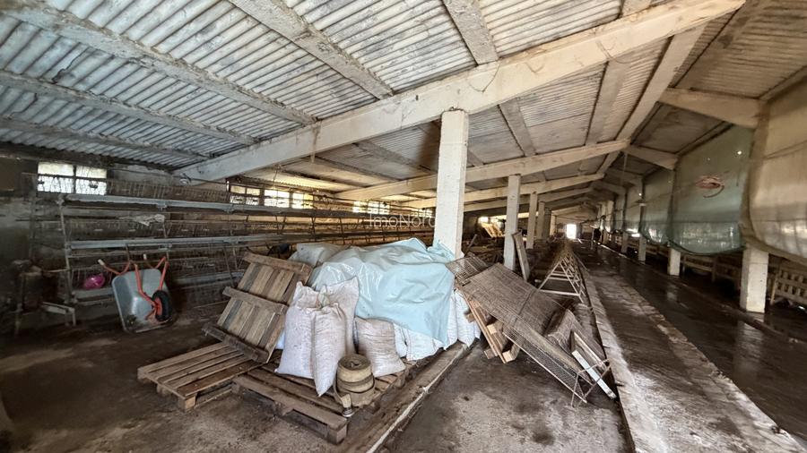 Hala industrială de vânzare în Beclean, Bistrița-Năsăud – 770 mp teren + cons - 2