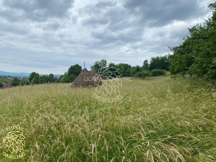 Teren Intravilan 3093 mp-ideal case/cabane/pensiune-Bistrita Bargaului - 5