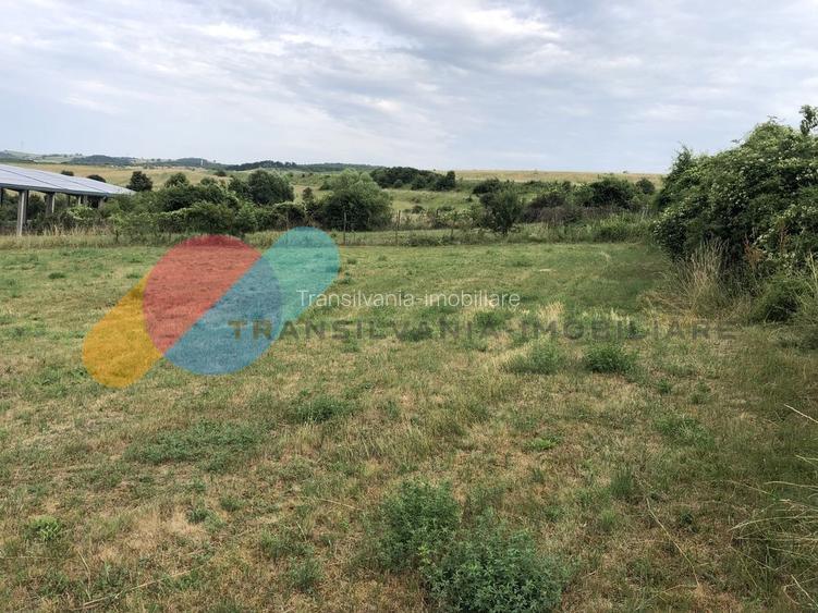 Teren intravilan cu Destinatie Economica, 3000 mp, in Radaia - 3