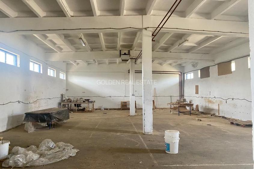 Hala industriala, 302 mp, zona Sannicolaul Mic - 2