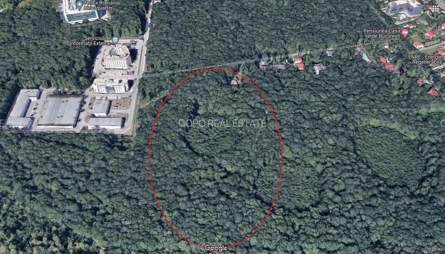46644 mp teren in Padurea Baneasa proiect exclusivist - 3