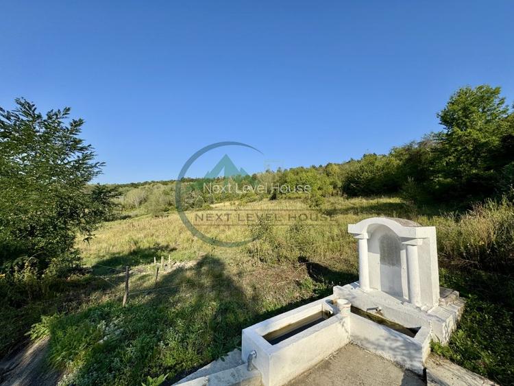 Teren 33290 mp, Lupsa de sus, Oportunitate de investitie - 4