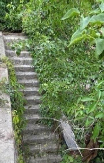  Proprietăți Istorice Brașov  - 6