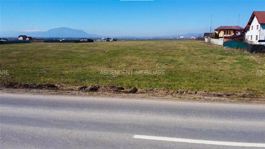 Teren intravilan 18.200mp, cu PUZ si PUD, ideal constructi case, Bod, Brasov. - 19