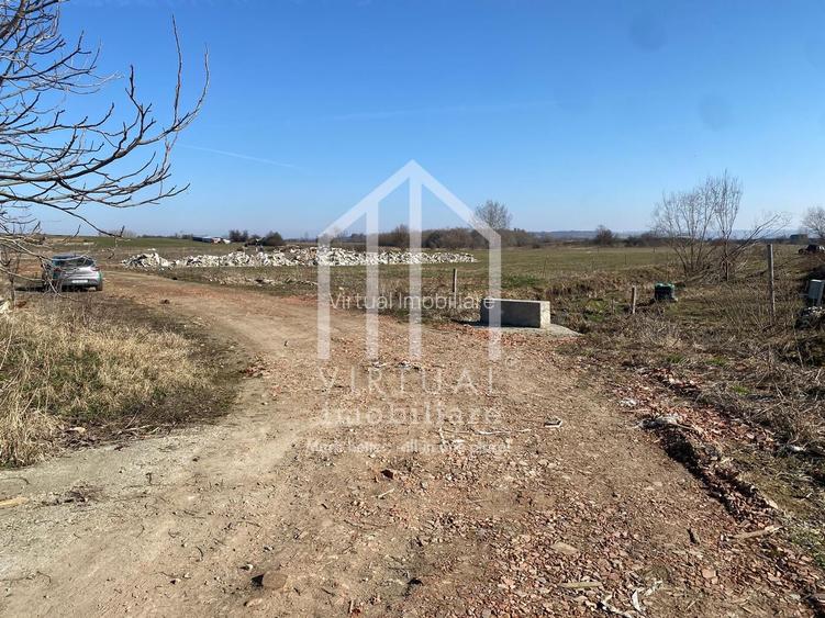 Teren intravilan si extravilan, suprafata 16,310 mp,  langa Autostrada - 8