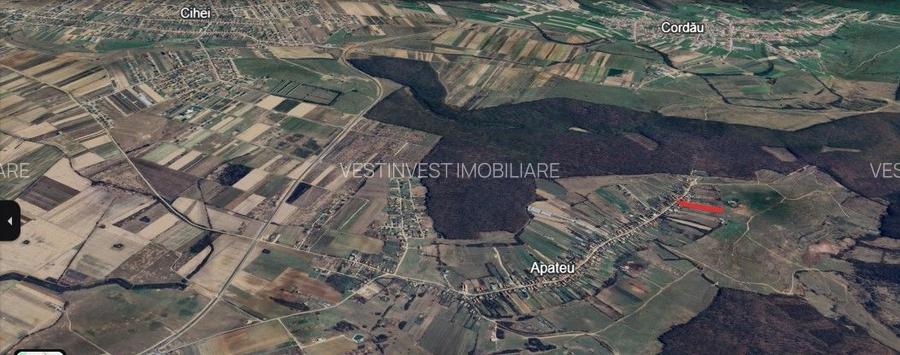 Teren intravilan Apateu 4100 mp - 3