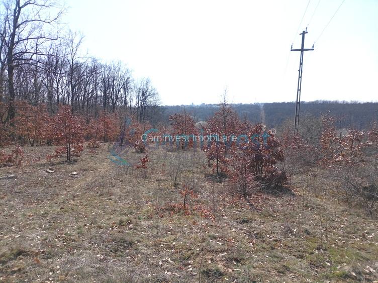 Teren intravilan de vanzare in Paleu, aprape de padure, Bihor - 3