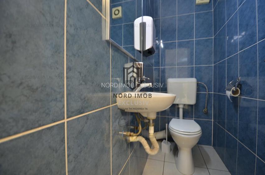 Inchiriere 242 mp | Imobil birouri Domenii | Comision 0%-Reprezentare Proprietar - 12