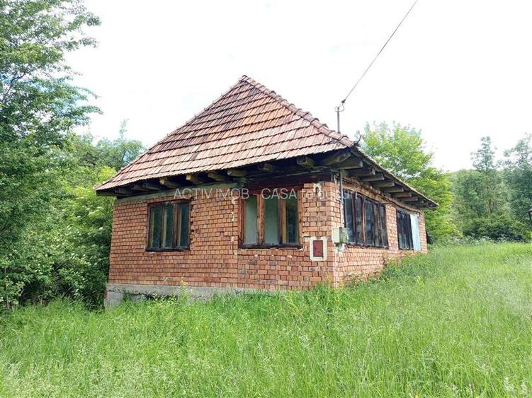 Borlovenii Noi, Teren Drept, 16000mp, la Limita Localitatii - 19