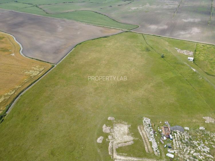 Teren intravilan de 29,970mp Sacalaz - 11