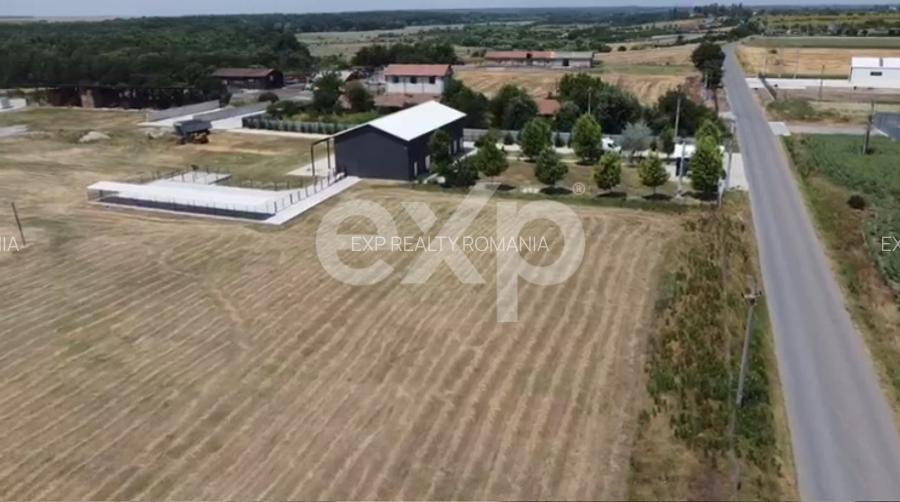 Ferma cu abator autorizat | Singureni Giurgiu - 4