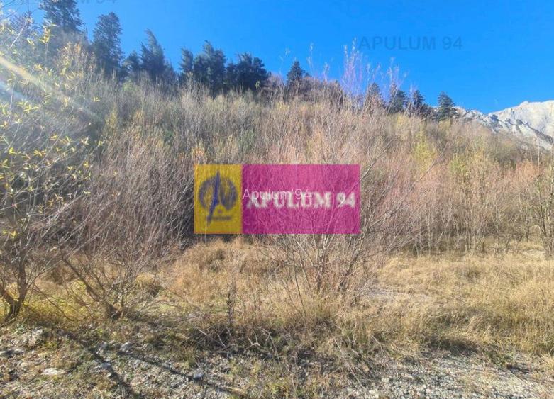 Teren intravilan de vânzare în Bușteni - Zona centrala - 5