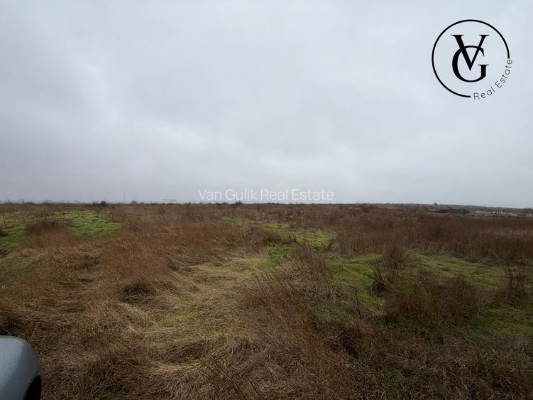 Teren 1000 mp Palazu Mare | Ideal investiție - 4