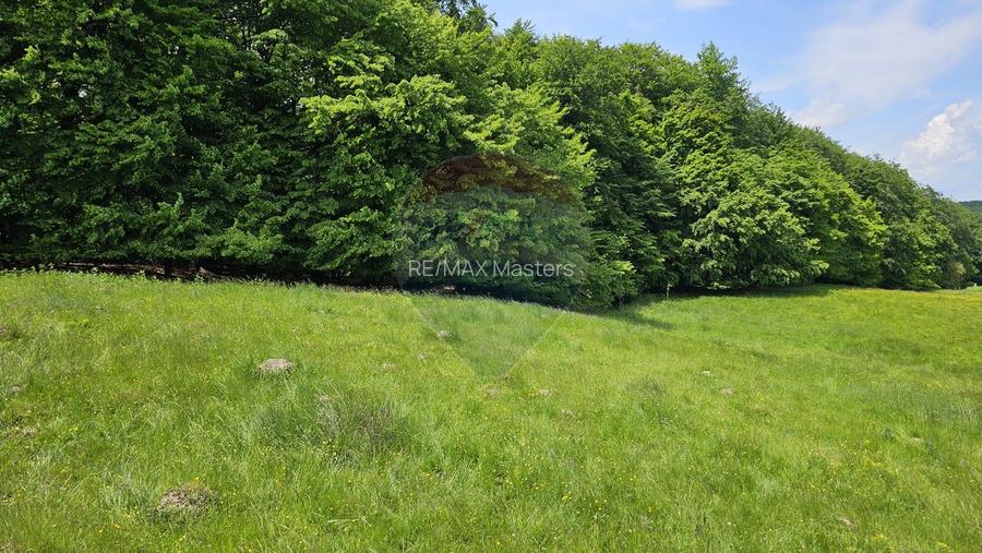 Teren Ilisesti  7000mp extravilan/ DN 17, Suceava - 33