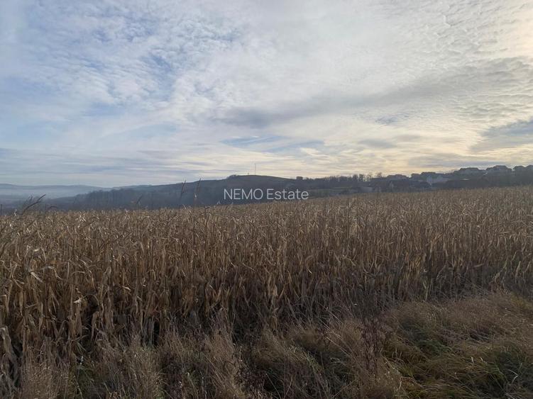 Teren intravilan de vânzare | Cajvana | 7.800 mp - 2