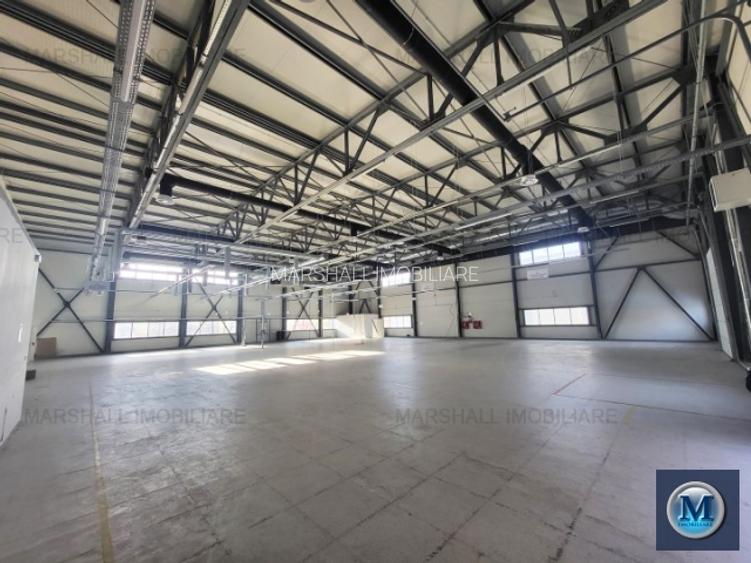 Spatiu industrial de inchiriat, zona Exterior Vest, 1185 mp #16782 - 2