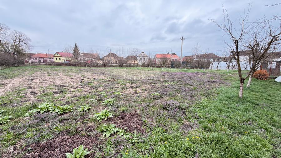 Casă + teren 4.226 mp la drum principal – Bod – oportunitate investiție - 4