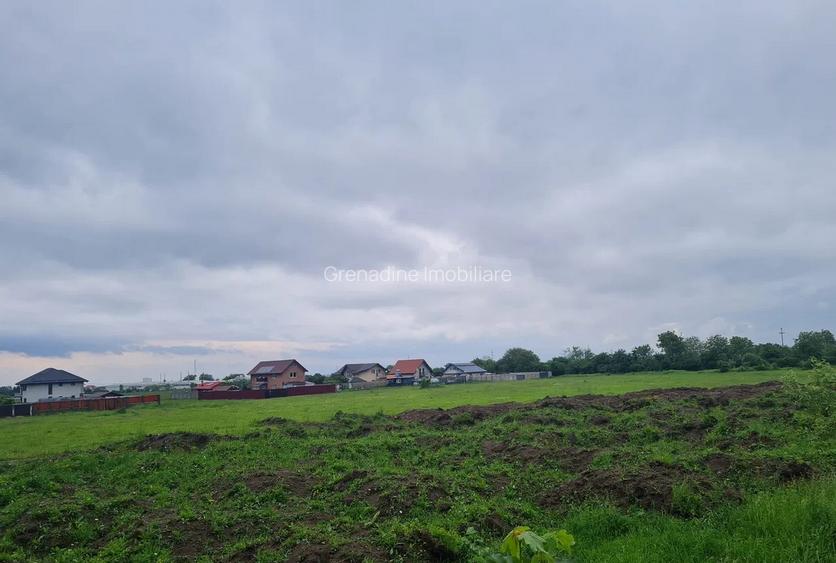 Teren Intravilan Cu PUZ 635 MP-Electroprecizia-Sacele- Cod 5239 - 4