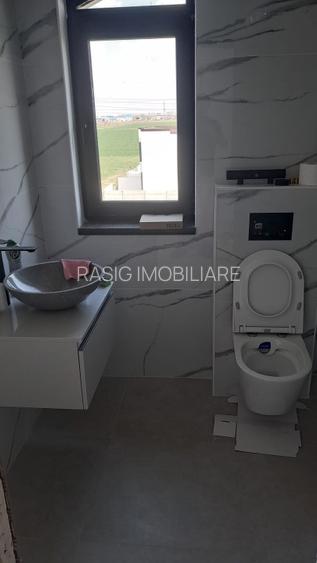 Doua vile DUPLEX Domnesti - 9