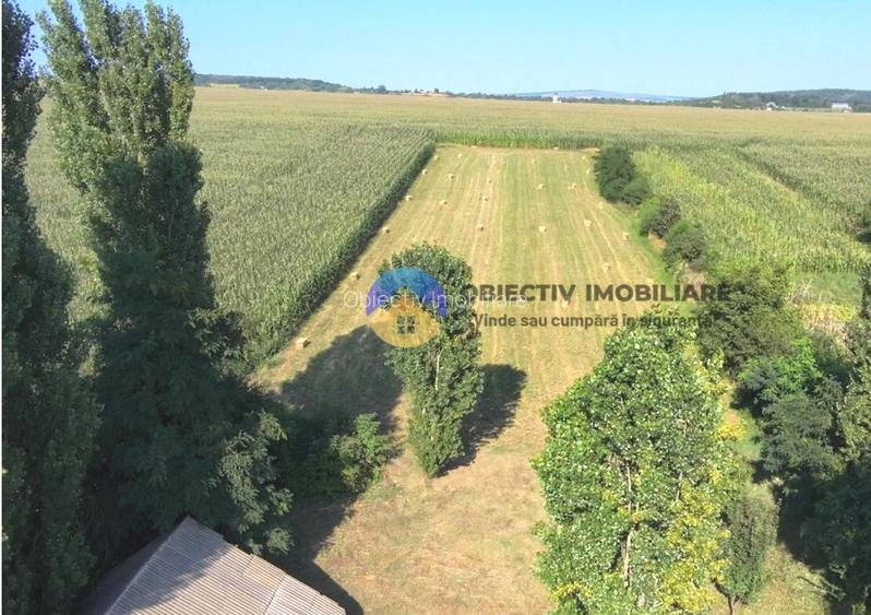 Casă + Teren 4500 mp – Mastacăn, Jud. Neamț - 3