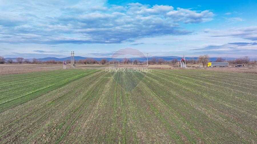 Teren 5,300mp Prejmer / DN11 Brașov-Covasna - 9