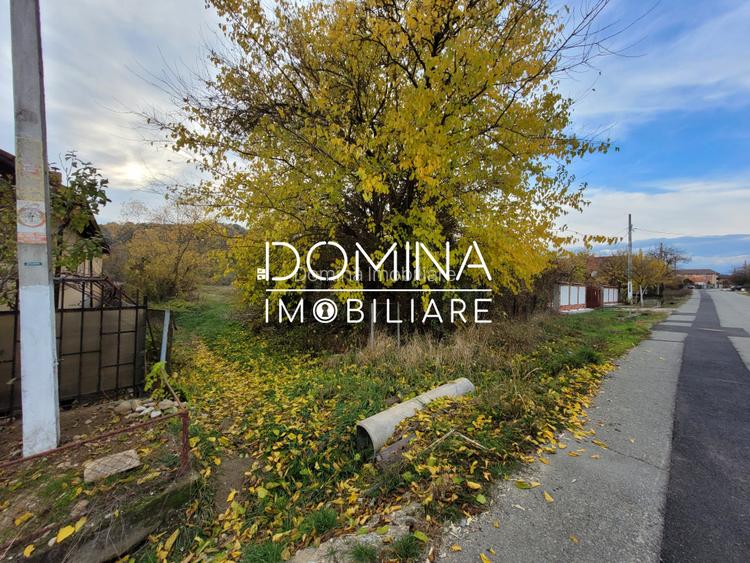 Vanzare teren intravilan, 4967  mp, utilitati, sat Rasova, Balesti - 5