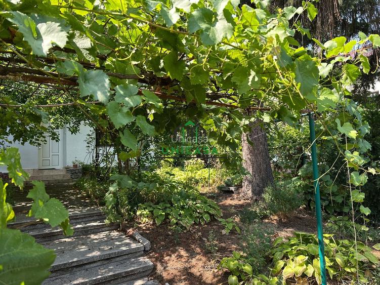 Casa si teren  - Zona Ultracentrala - 2