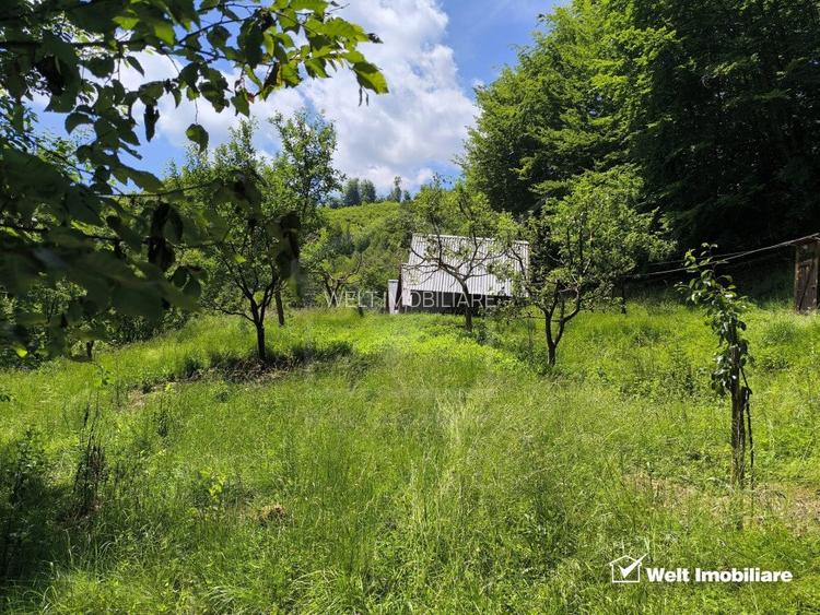 Casa de vacanta, cu lac, 5640 mp teren, Huta, com. Chiuiesti, jud. Cluj - 29