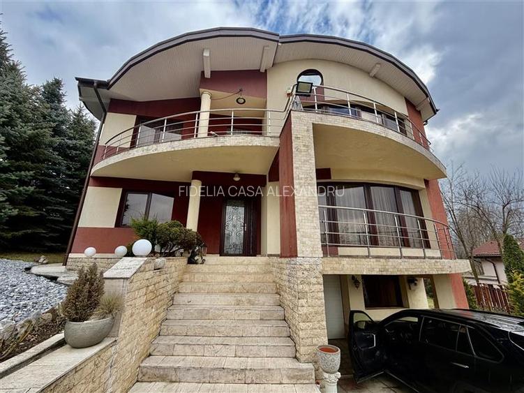 Casa vile de vânzare Buciuim-iasi - 2