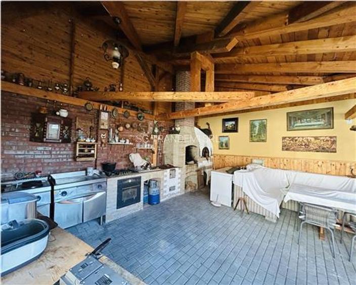 Vilă exclusivista in Cisnădie - oază de liniște și aer - 11