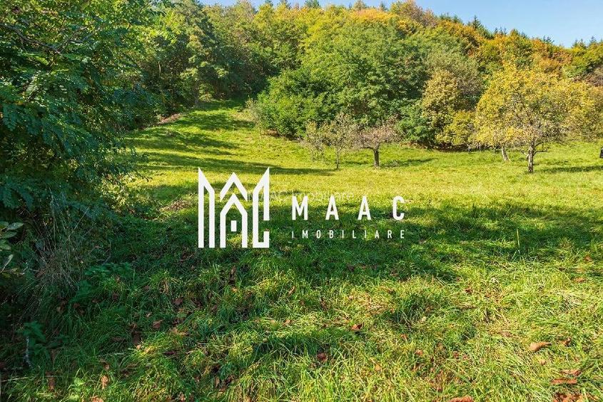 Teren | Intravilan | 2439 MPU | Fântânele - 4