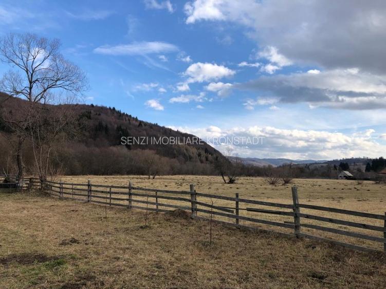 Oportunitate de investitie - 3