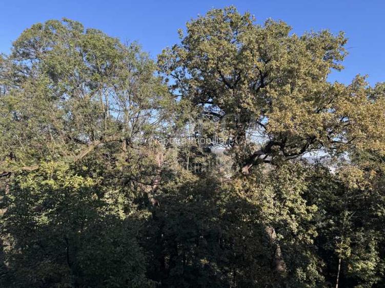 Apartament 4 camere de vanzare in Centru, Cluj Napoca - 10