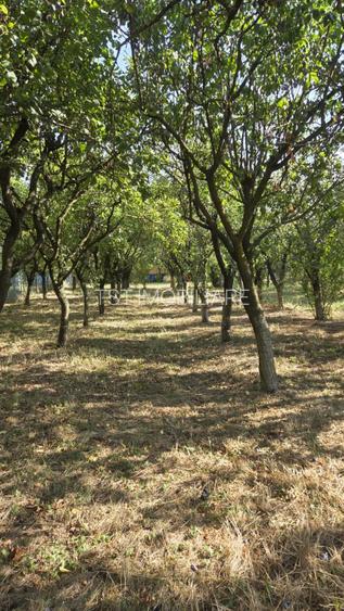 Casă și teren de vânzare – Zona Careiului - 19