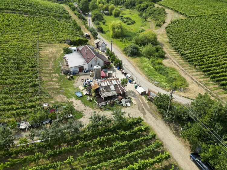 Vie Tradițională „Halta Lupilor” - 48