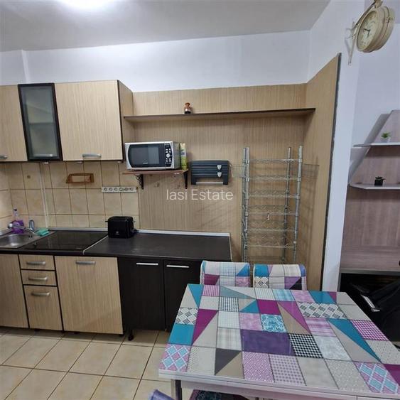 Apartament 1 camera Bulevardul Socola - 13
