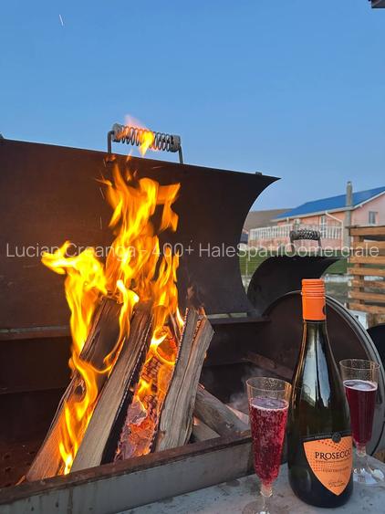 Cladire/ afacere/ pensiune, Bogonos, 286mp, aproape de Volkswagen - 13